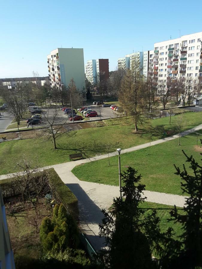 Apartament Dla Turystow 蒂黑 外观 照片